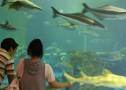 Aquarium